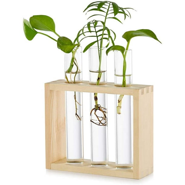 Planter Test Tube Flower Bud Vase Tabletop Glass Terrariumin w/ Stand 1 Vase 